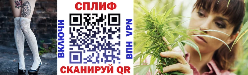 Конопля индика  Починок 